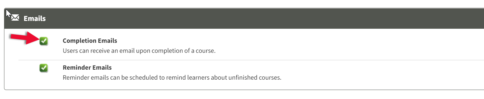 custom_email_2.png